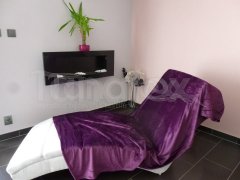Deka mikro - tmavě fialová Přehozy na postel a deky - Deky - 150x200